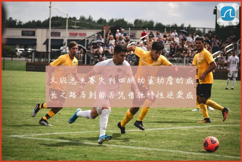 文班总决赛失利回顾幼鲨幼詹的成长之路马刺能否凭借独特性逆袭成功