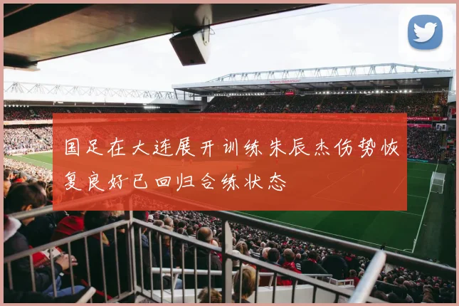 国足在大连展开训练朱辰杰伤势恢复良好已回归合练状态